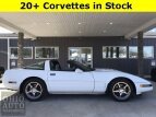 Thumbnail Photo 4 for 1994 Chevrolet Corvette